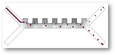 Dielektrophoretische Trennung von Blutplättchen und roten Blutkörperchen