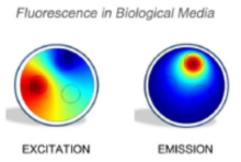 Simulation Based Approach to Fluorescence Diffuse Optical Tomography