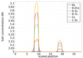 Modeling of Supercapacitor
