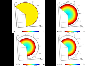 Multiphase Transport with Large Deformations Undergoing Rubbery-Glassy ...