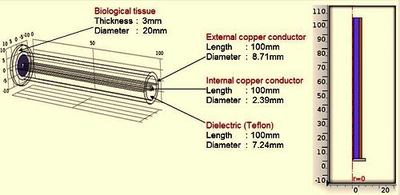 Modeling Ex Vivo Microwave Hyperthermia of Different Biological Tissues