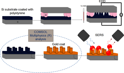 Study of the Optical Field Scattering Enhancement on a 2D Rough Surface ...