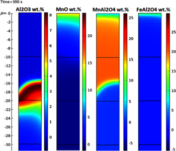 Modelling the Diffusion/Counter Diffusion of Oxygen and Solutes in Low ...