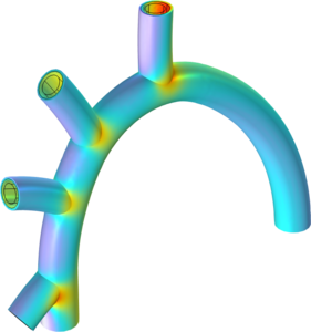 Fluid-Struktur-Interaktion in Blutgefäßen