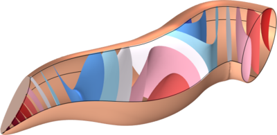 Akustik des Gehörgangs