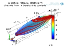 Muscle-Electrode Interface Simulation
