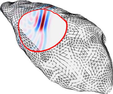 Acoustic Propagation Model in 3D of Dolphin Echolocation Formation Inside ...
