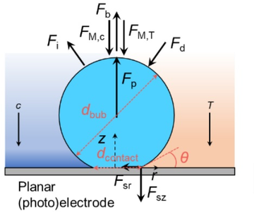 Bubble Detachment from the Surface of a (Photo)Electrode