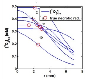 Singlet Oxygen Modeling of BPD Mediated-PDT Using COMSOL