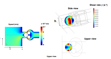 COMSOL Simulation of a Single Biological Cell Trapped in a Microfluidic ...