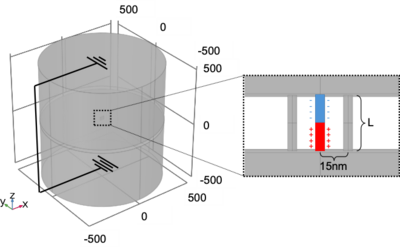 Nanopore Array interactions Weak Dependence on Pore Length