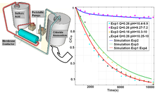 Ammonia Removal From Water by a Liquid-Liquid Membrane Contactor Under a ...