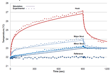 Transient RF Heating of a Conductive Implant: Coupled Electromagnetic ...