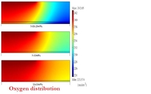 Optimizing Fuel Cell Design with COMSOL Multiphysics