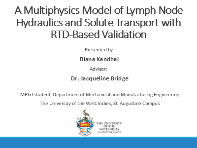Computational Modeling of Lymph Node Flow, Cell Transport, and Tissue ...