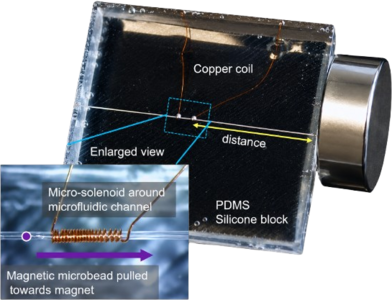 Coupled Magnetic Field–Fluid–Particle Model for Magnetically Assisted Tube ...