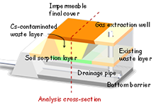 Numerical Model for Leaching and Transporting Behavior of Radiocesium in ...