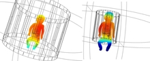 An Assessment of the Suitability of the Body and Adult Head Coils for ...