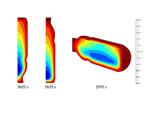 Using Computational Fluid-Dynamics (CFD) for the Evaluation of Tomato Puree ...
