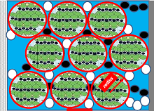 Electrochemical Li-Ion Battery Modelisation for Electric Vehicles