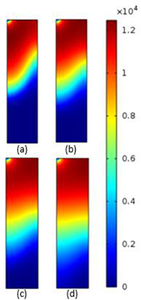 Modeling of Biocalcification in Non-Saturated Conditions