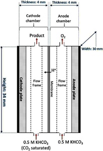 Modeling of the Electrochemical Reduction of CO2 to Methanol in a Micro ...