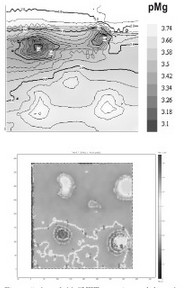 Hybrid Multiscale Modeling of Corrosion Nanoinhibitors Transport