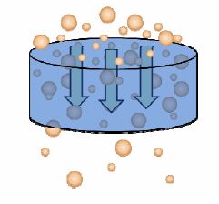 Characterization of Biochemical and Physical Parameters of a Skin ...