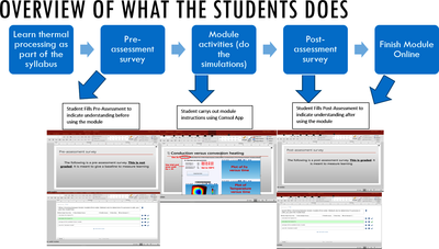 Multidisciplinary Simulation Based Learning Enhancement Module