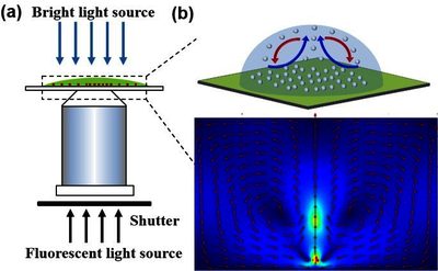 高斯光作用下纳米颗粒微液滴内的Marangoni对流