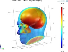 Prediction of Time of Death Using a Heat Transport Model