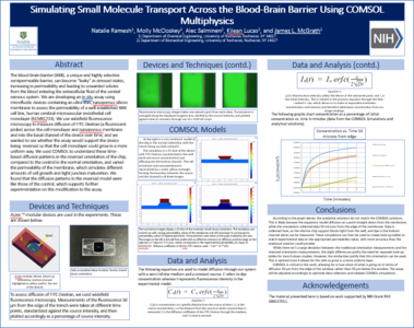 Simulating Small Molecule Transport Across the Blood-Brain Barrier Using ...