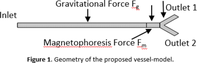 Particle Steering in Magnetic Drug Targeting: A Simple Comsol Model