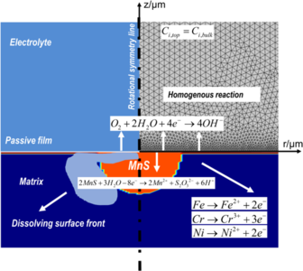 A FEM model for simulating trenching process around a MnS inclusion ...