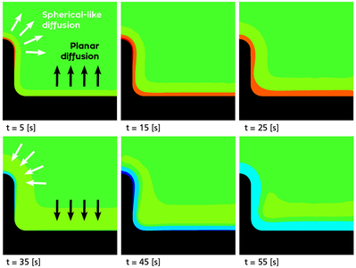 Dendriten mit numerischer Simulation in Schach halten